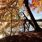 公寓 Plaue Auszeit Mit Privatstrand Und Bootsliegeplatz *
