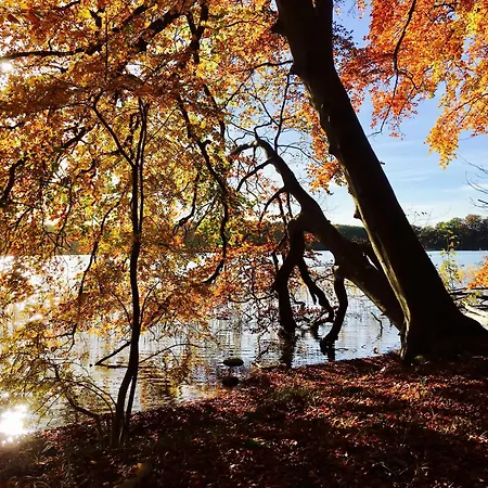 Διαμέρισμα Plaue Auszeit Mit Privatstrand Und Bootsliegeplatz *